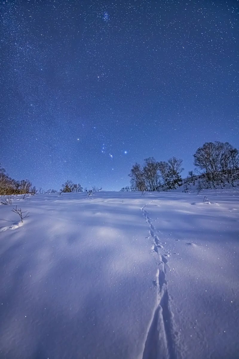 SNOW（雪） と SORA（宙） が出会う場所 —— 長野の「天」と「地」の